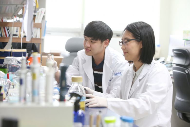 [KAIST 제공]