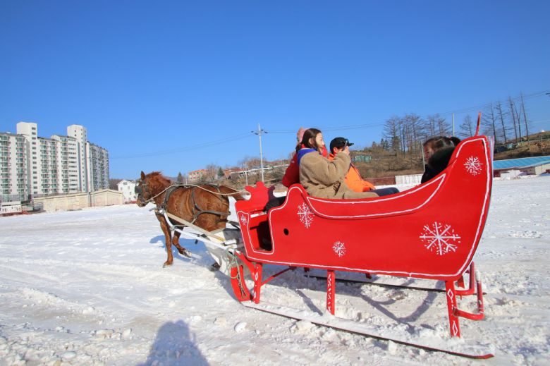 산타마을에도 없는 평창 설상 마차