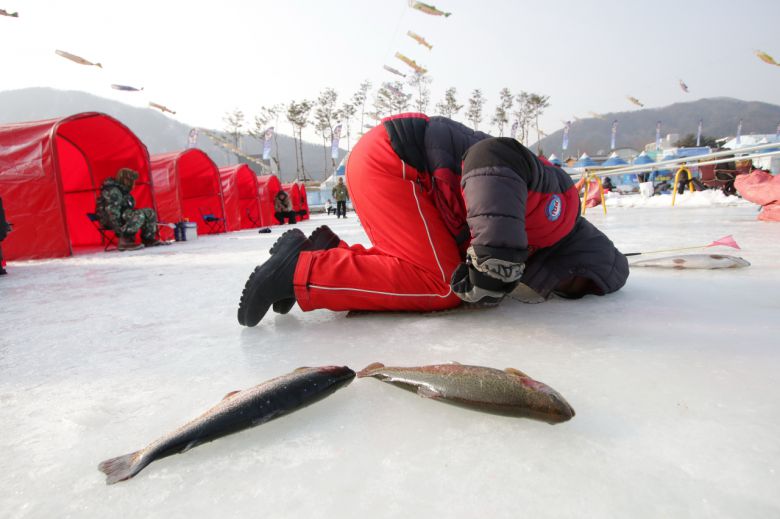 송어 얼음낚시 위한 얼음 속 들여다보기