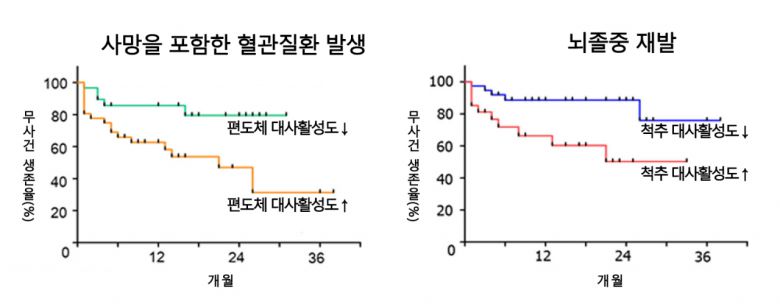 편도체 및 척추 대사활성도에 따른 생존율 분석. (왼쪽)편도체 대사활성도가 높은 환자는 낮은 환자보다 혈관질환 발생 없이 생존한 비율이 낮았다. (오른쪽)척추 대사활성도가 높은 뇌졸중 환자는 낮은 환자보다 뇌졸중 재발 없이 생존한 비율이 낮았다.