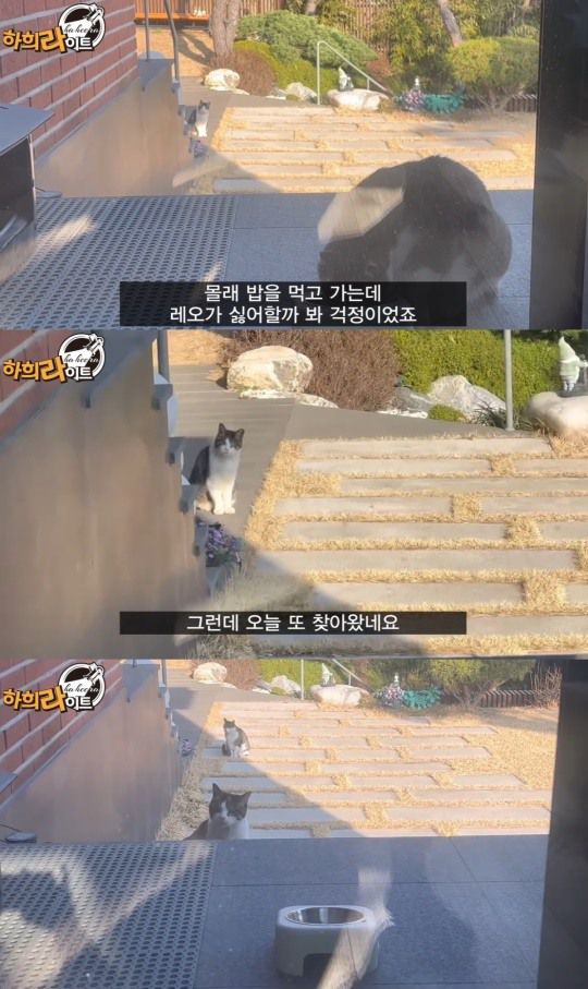 '하희라이트' 캡처