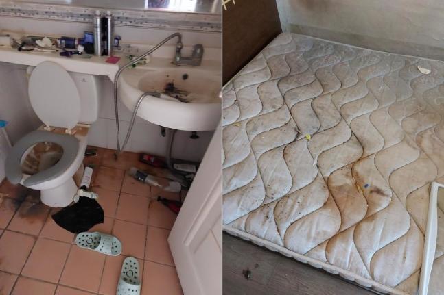 [온라인 커뮤니티 캡처]