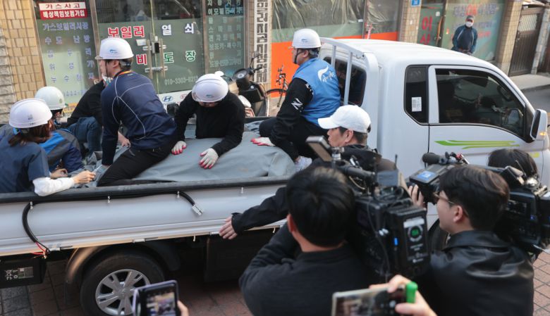 23일 오후 서울 광진구 자양동 주택가에서 서울시설공단 관계자들이 어린이대공원에서 탈출한 얼룩말을 포획해 이송하고 있다. [연합]