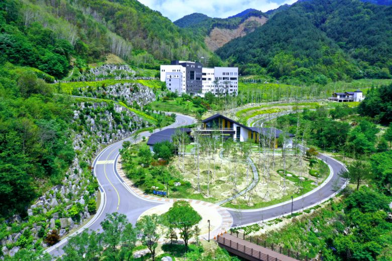 영월 하이원산림힐링재단