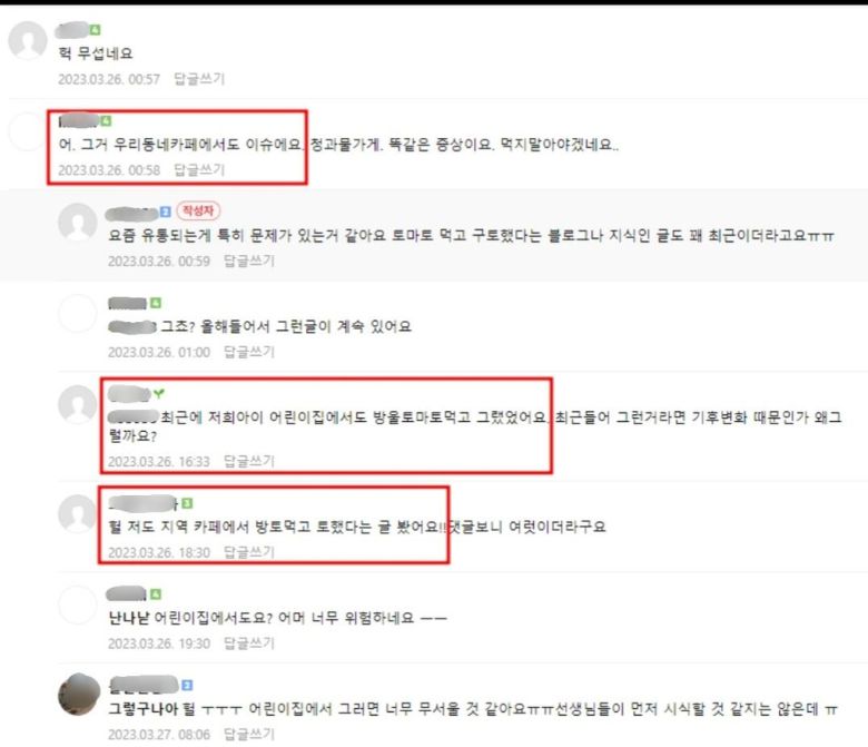 토마토 먹고 구토 증세를 호소하는 인터넷 카페 글. [연합 독자제공]