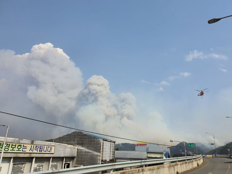 25일 경북 안동시 남후면 고하리와 단호리 인근에서 전날 발생해 소강 상태를 보이던 산불이 강한 바람에 재확산하고 있다. [연합]