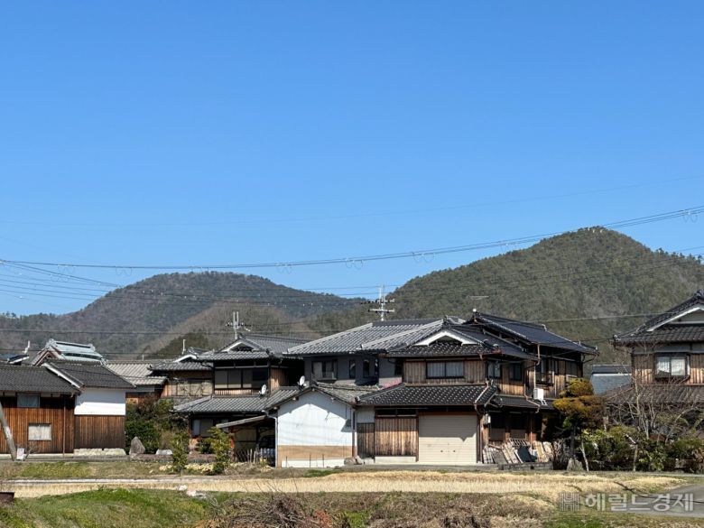 지난달 15일 찾은 일본 효고현 단바사사야마시 시청 인근 주택가. 신혜원 기자