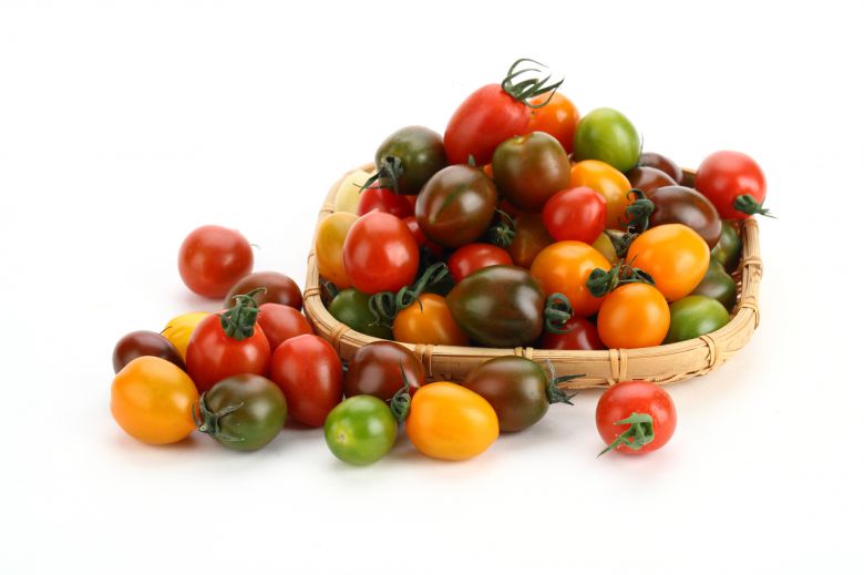 토마토 이미지.