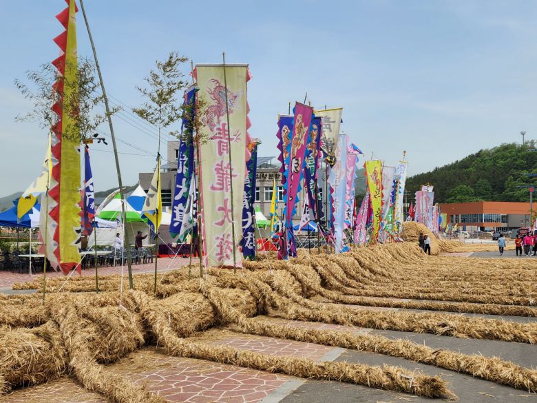 6000명의 건곤일척 줄다리기 대결을 앞두고 긴장감이 감도는 의령 홍의장군축제, 큰줄땡기기 경기장