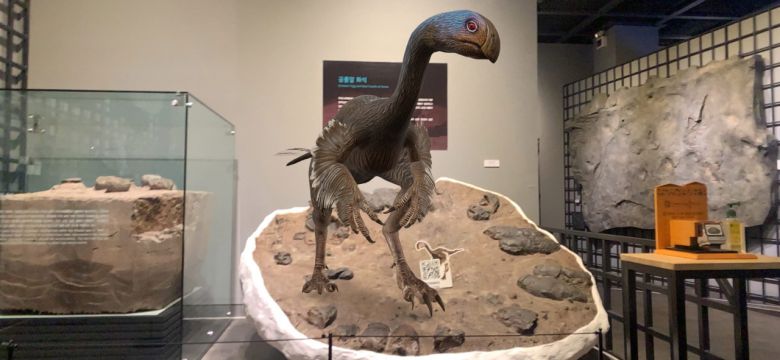 공룡 전시