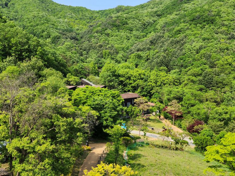 자연속 숨박꼭질 하듯 숲속에 착상해 있는 힐리언스 선마을