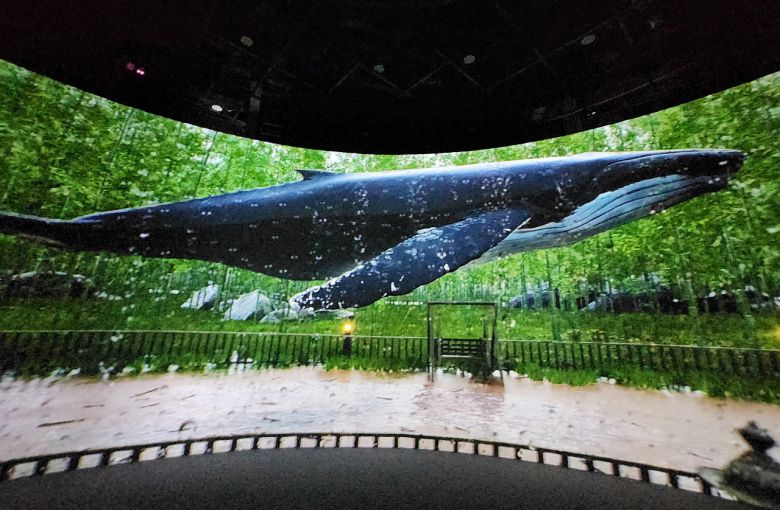 장생포 고래문화마을 미디어아트