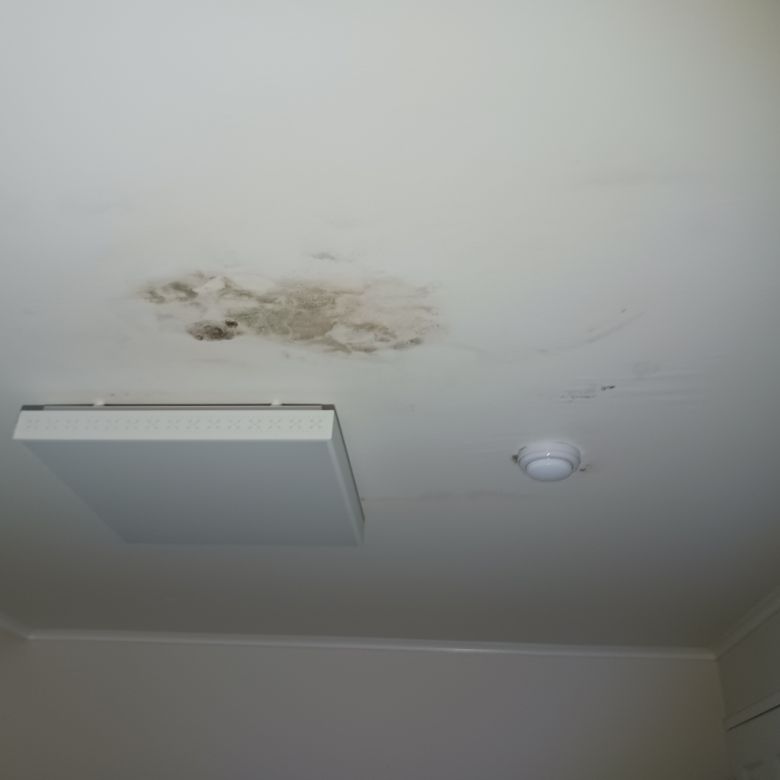 폭우로 생긴 아파트 천장 누수. [독자 제공]