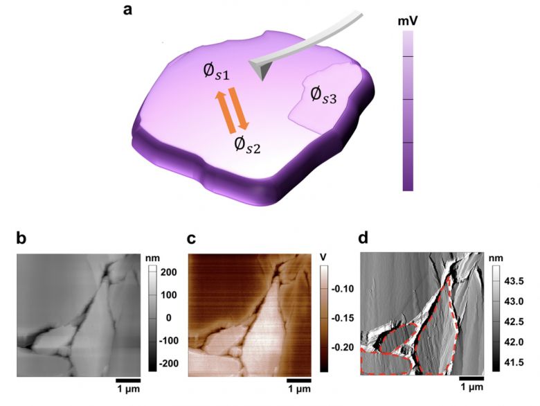 활물질의 표면 전위를 측정하고 있는 켈빈프루브현미경 탐침 모식도.[KAIST 제공]