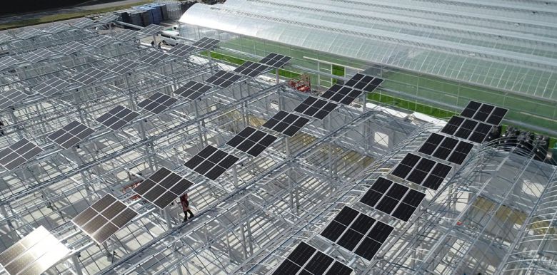 양평농협 스마트농업지원센터 태양광 스마트팜 외부 모습 [한화솔루션 제공]