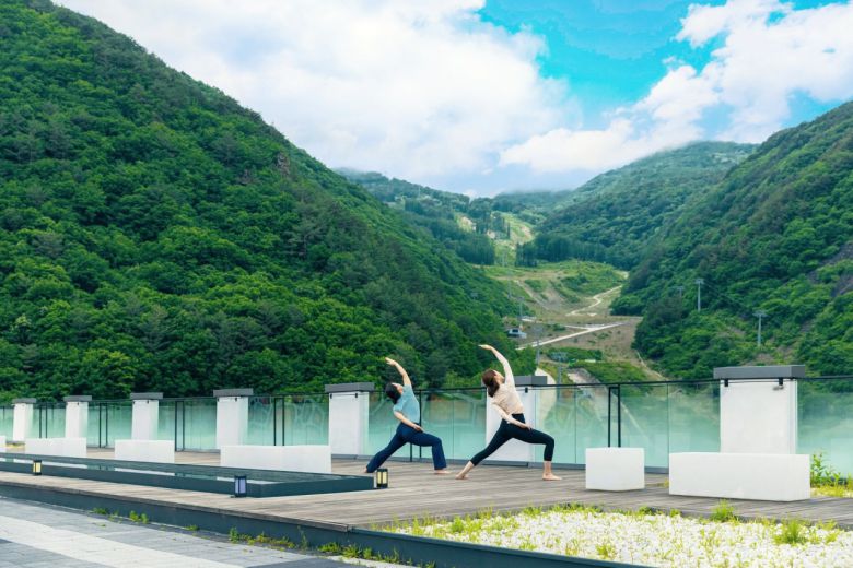 정선 파크로쉬 웰니스 프로그램