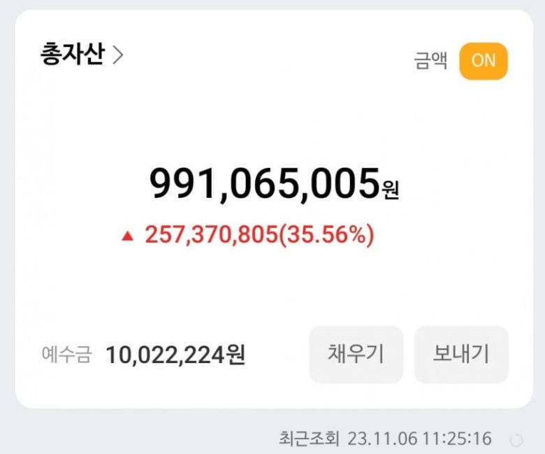 지난 6일 한 개인투자자가 올린 주식수익인증