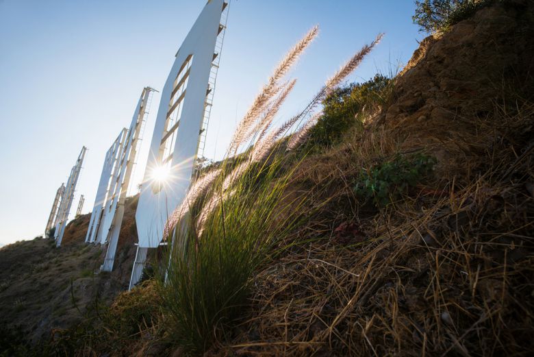 걸어가서 만나는 할리우드 사인