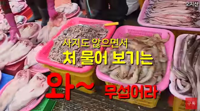 인천 소래포구 어시장에서 가격을 묻는 손님에게 상인이 막말을 하는 장면. [유튜브 채널 '오지산' 캡처]
