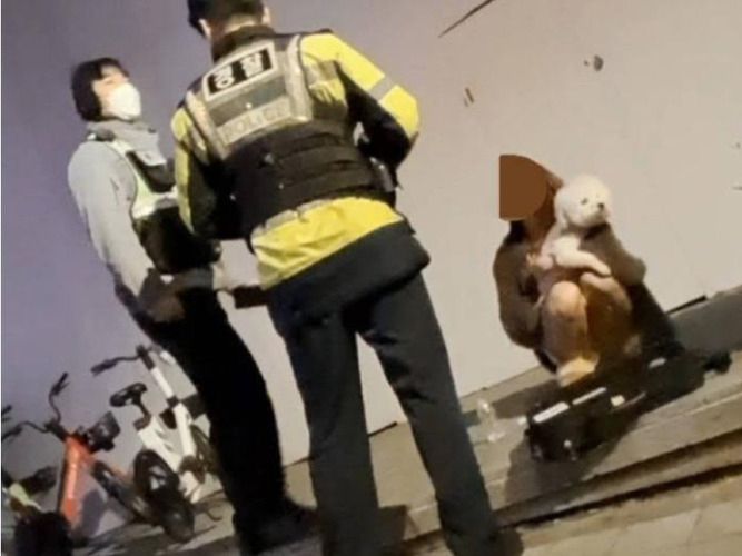 사고 당시 가해 여성이 반려견을 끌어안은 채 길에 꿇어 앉아 있다. 한 목격자가 사진으로 찍어 온라인 커뮤니티에 올린 것으로 목격자는 "가해 여성이 경찰한테 협조도 안 하고, 경찰이 강아지를 분리하려고 하자 싫다고 했다"고 주장했다. [보배드림 갈무리]