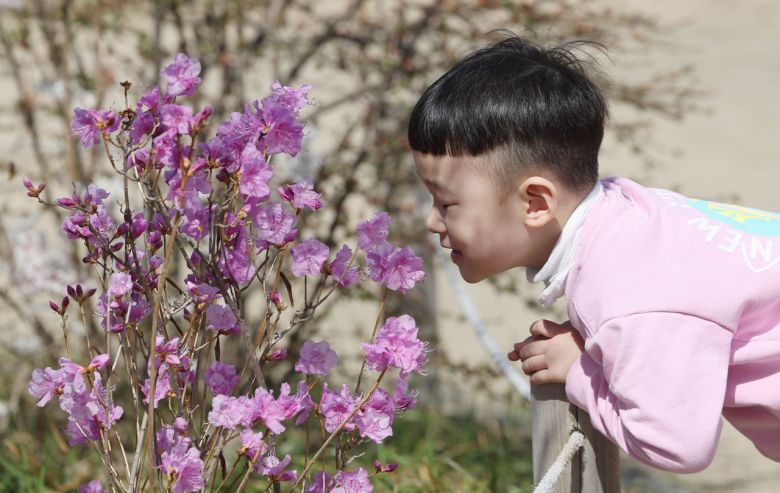포근한 날씨를 보인 24일 오후 서울 종로구 창덕궁에서 한 어린이가 봄을 만끽하고 있다. [연합]