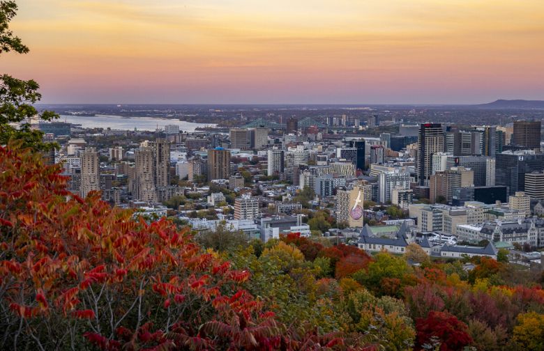 에어캐나다 인천발 직항이 신설된 몬트리올 몽로얄 언덕 전망