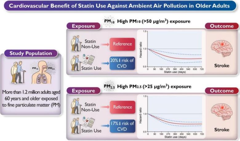 WHO 기준 높은 수준의 미세먼지 PM10(〉50µg/m3) 및 PM2.5(〉25µg/m3)에 노출된 경우, 스타틴을 처방받은 그룹은 비처방 그룹에 비해 뇌졸중 발생 위험이 각각 20%, 17% 낮은 것으로 나타났다.(출처: European Journal of Preventive Cardiology)