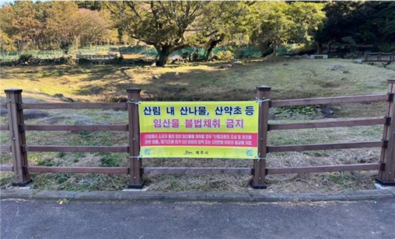 산나물 채취 금지를 알리는 글. [제주 시청 제공]