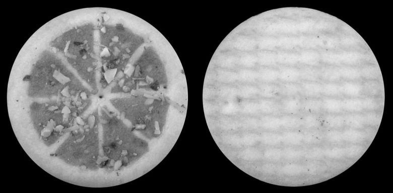 2006년 1월 오리온이 특허청에 출원한 이구동성 과자모양 디자인. [키프리스 갈무리]