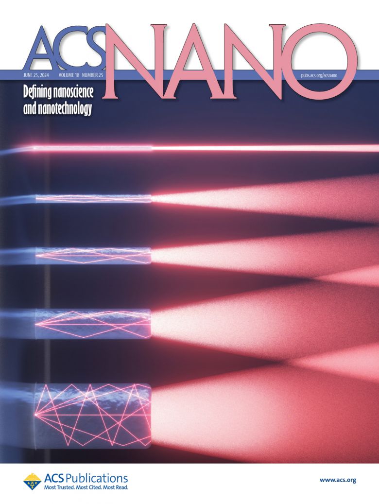 이번 연구결과가 게재된 국제학술지 ‘ACS Nano’ 표지.[한국전기연구원 제공]