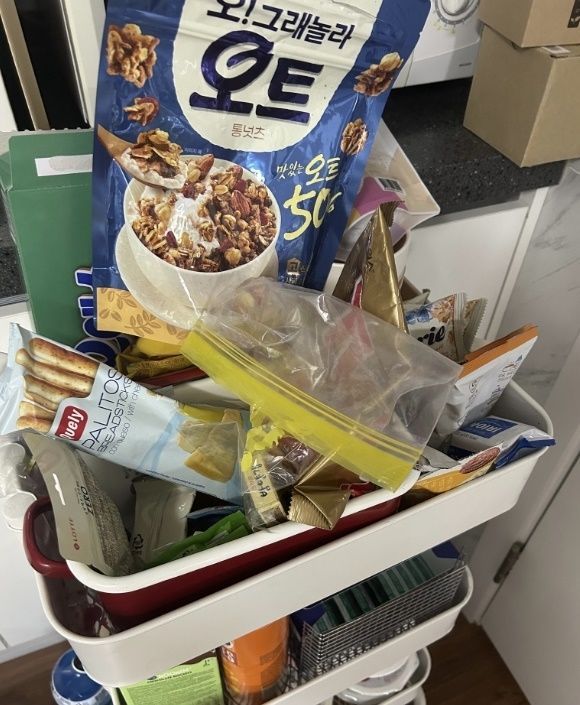 정희원 아산병원 노년내과 임상 조교수 올린 아이들 간식. [X캡처]