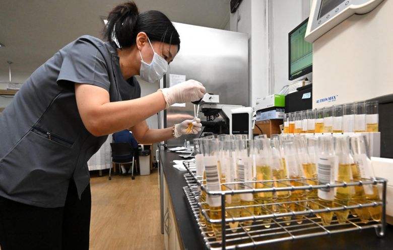 20일 오전 서울 영등포구 서울지방병무청에서 관계자가 입영대상자들의 소변으로 마약검사를 실시하고 있다. [임세준 기자]