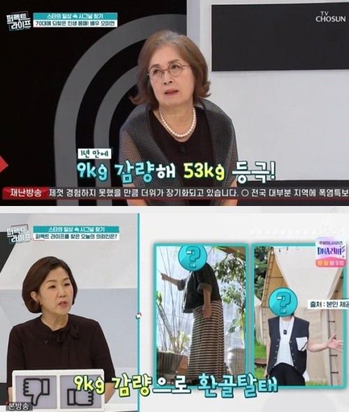 TV조선 '퍼펙트 라이프' 방송화면 캡처