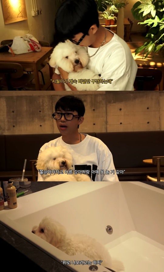 임영웅 유튜브 캡처