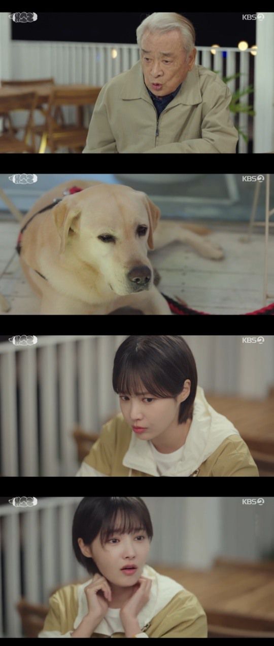 KBS2TV '개소리' 캡처