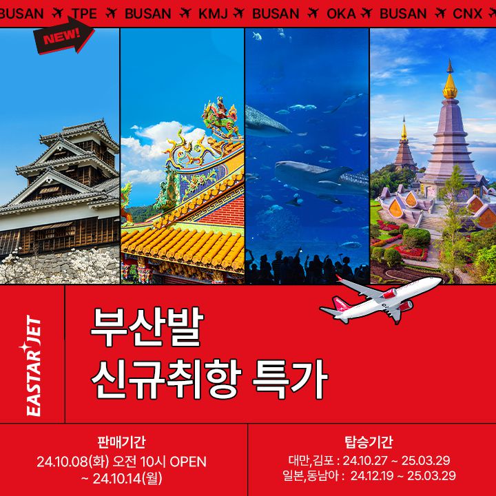 이스타항공 제공