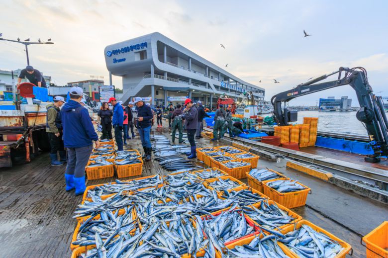 죽변 수산시장, 위판장