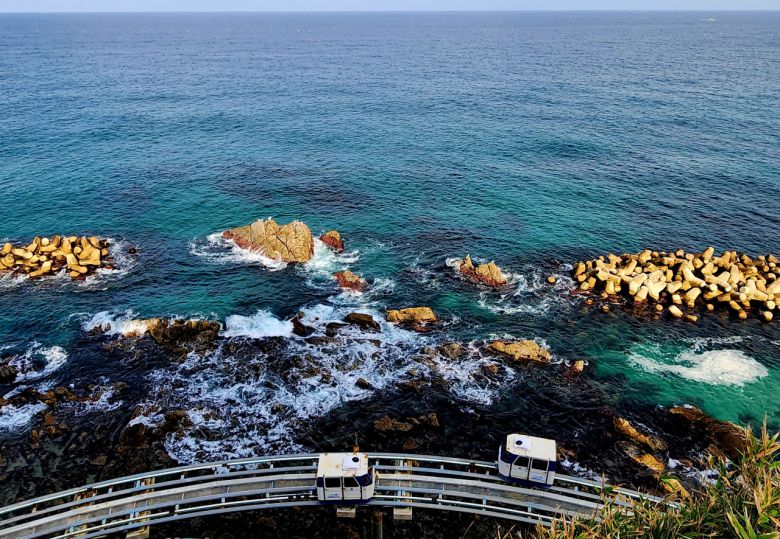 대숲아래 짙은 에메랄드 바다옆 레일 위로 자동 정속 모노레일이 지나간다.