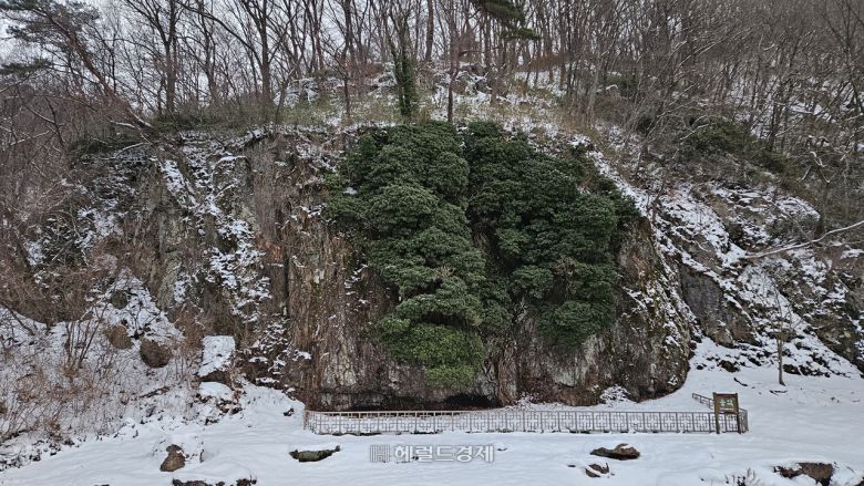 도솔천 옆 암벽에 자라는 높이 15m의 덩굴식물 ‘송악’은 천연기념물이다.