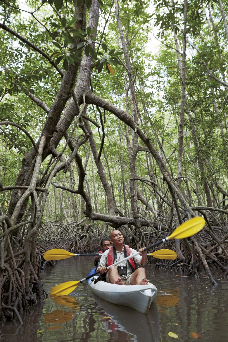 가야섬 친환경 숲 카야킹