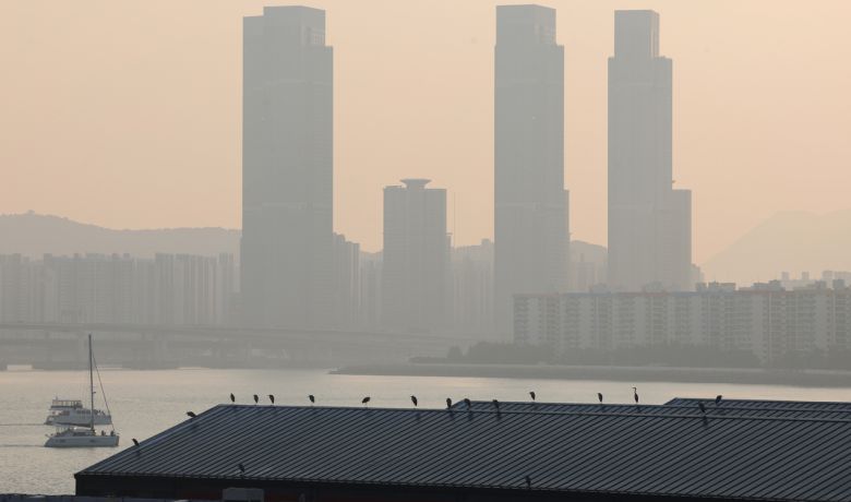 초미세먼지 농도가 ‘나쁨’ 수준을 보인 지난 20일 오후 부산 수영구 밀락더마켓 지붕에 햇볕을 쬐며 앉아있는 새들 뒤로 남천동과 용호동 일대가 뿌옇게 보인다. [연합]