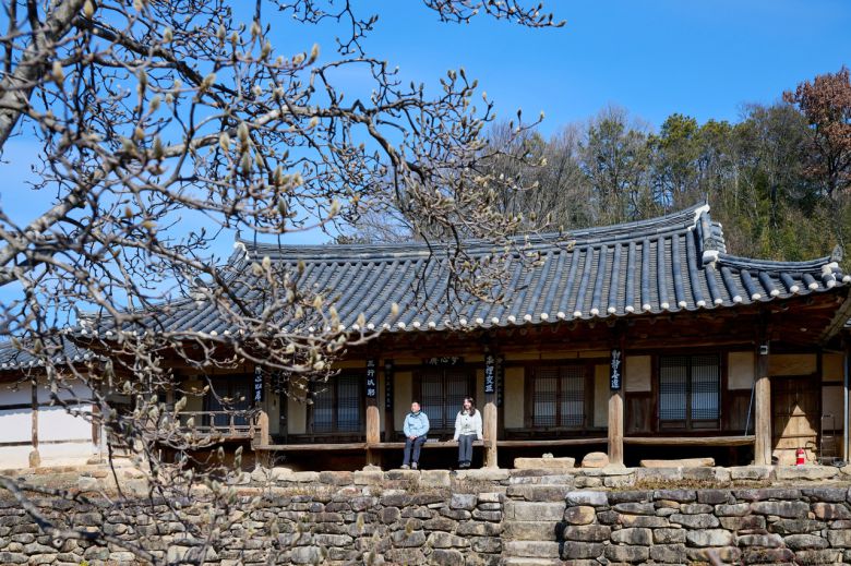 2월 하순 남원 몽심재 고택의 나무에 새 봄 새 순이 돋고 있다.