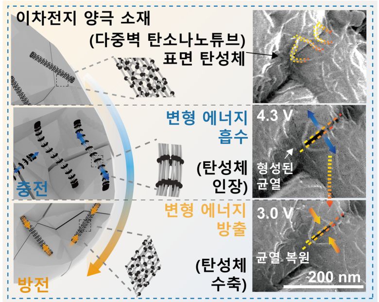 나노 스프링  도입에 따른 활물질 균열 복원 과정.[POSTECH 제공]