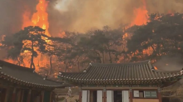 지난 22일 발생한 대형 산불이 의성군 운람사 뒤편까지 번진 모습. [온라인 커뮤니티 캡처]