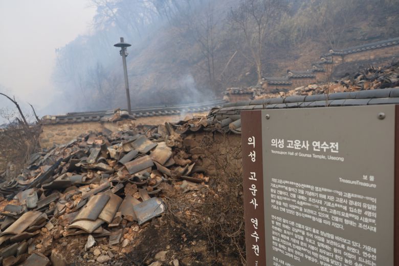 헤럴드경제