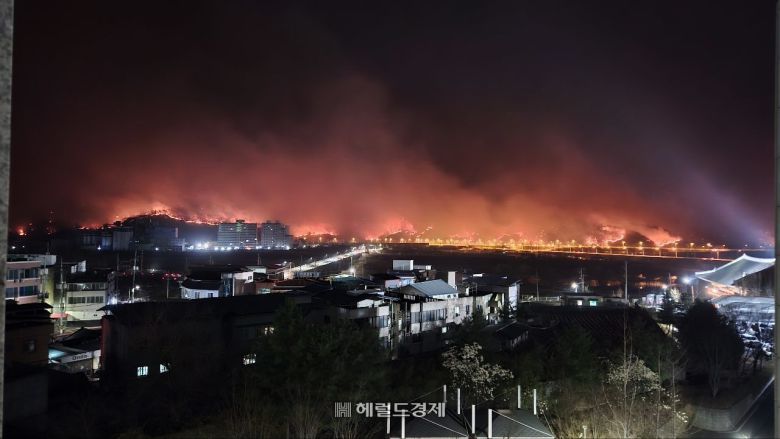 국립경국대학교에서 바라본 안동 산불(독자 권용성씨제공)