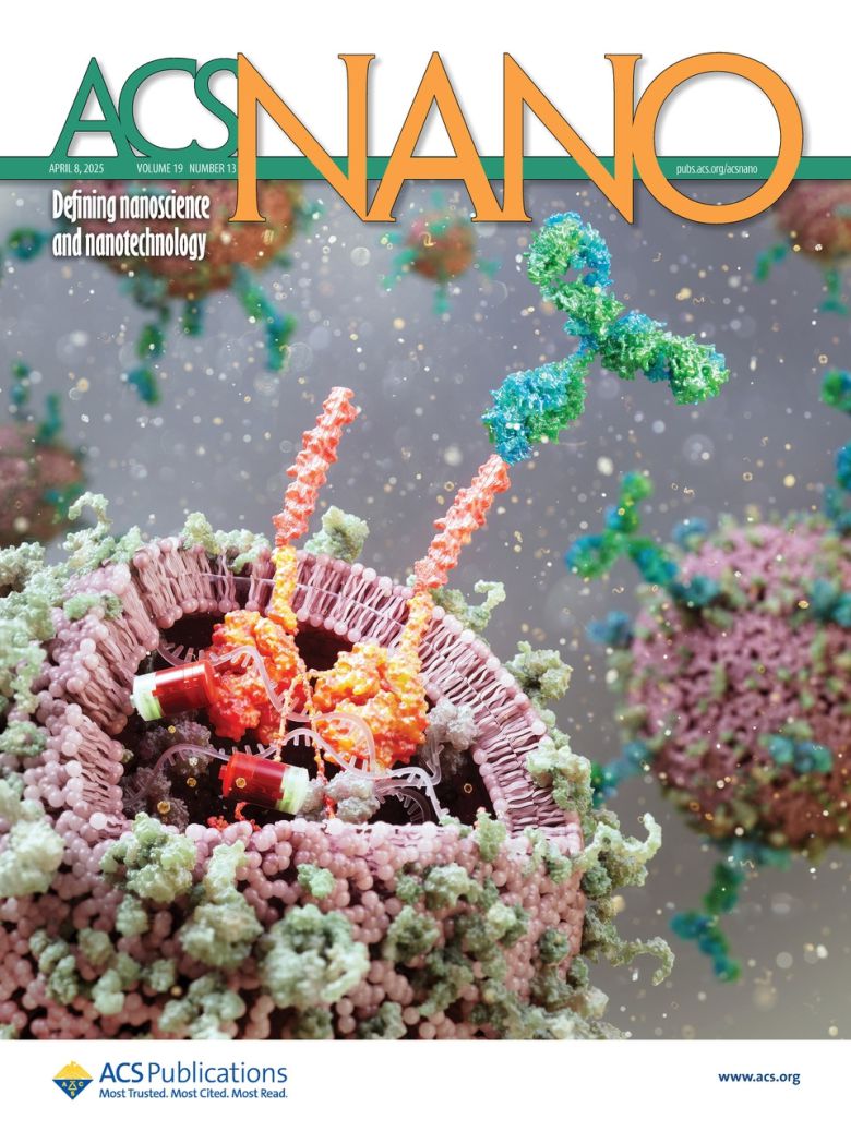 이번 연구결과가 게재된 국제학술지 ‘ACS Nano’ 표지.[DGIST 제공]