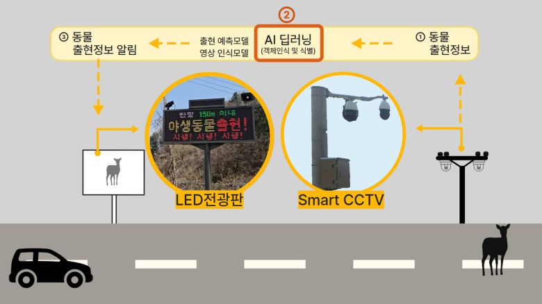 동물 찻길 사고 예방 및 모니터링 시스템 구성도. [포스코DX 제공]