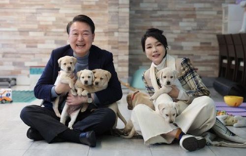 헤럴드경제