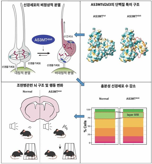 이번 연구결과 모식도.[POSTECH 제공]
